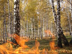 фото "Мирный огонь"