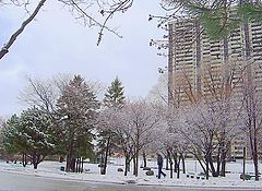 фото "winter city pink blues"