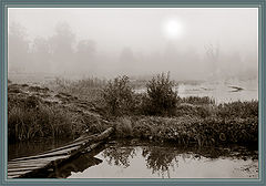 photo "***"