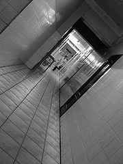photo "Dizziness"