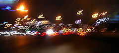 photo "The mutton wool"