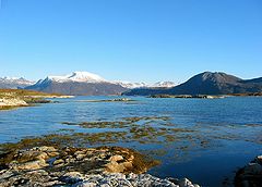 фото "The summer island"