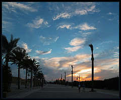 photo "Evening blues or lonely walk 2"