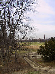 photo "Nature"