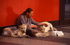 photo "Life of three friends"