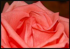 фото "*"