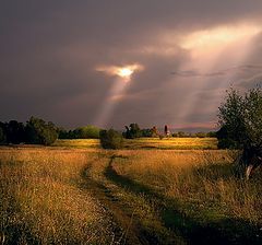 photo "..."
