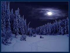 photo "The Night before Christmas"