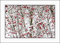 photo "***"