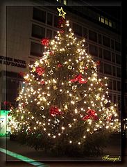 photo "Merry, merry christmas to all ..."