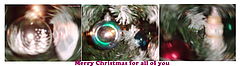 photo "Merry Xmas for all of you"