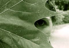 photo "*The Eye*"