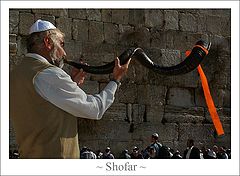 фото "Shofar"