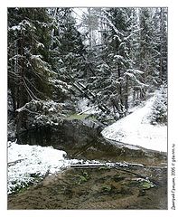 photo "The conservation zone"