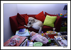 фото "Merry Xmas, Happy Hanuka, Happy new-Year to all !!"
