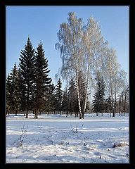 photo "The morning"