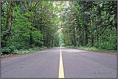 фото "Yellow Line Road... (as if by F. Baum)"