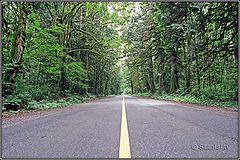 photo "Yellow Line Road... (as if by F. Baum)"