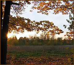 photo "Recollecting Autumn!"