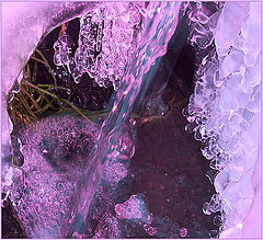 фото "winter spring"