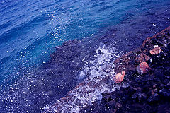 photo "pier"