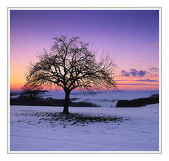 photo "Winter Evening"