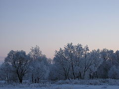 фото "Инеевые сумерки"