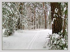 photo "***"