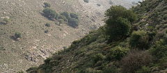 фото "hill"