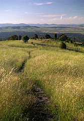 photo "On unknown paths"