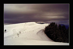 photo "Loneliness..."