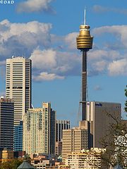 фото "Sydney Tower"