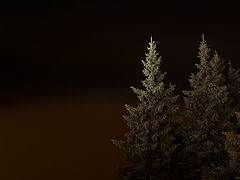 photo "***"