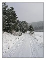 photo "Our Steps on a White Snow"
