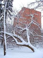 фото "Дворы маленького города (4)"