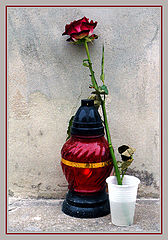 фото "A Simple Gesture"