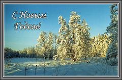 фото "С Новым Годом!"