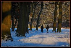 photo "fine winterday"