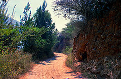 photo "Road 66"
