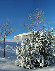 photo "Winter mood"