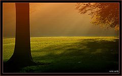 фото "good morning sun"