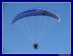 photo "Fly"