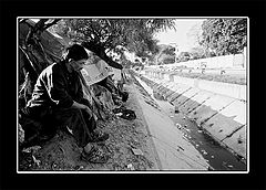 photo "vivo mi destino"