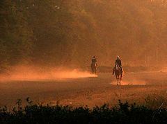 photo "Morning"