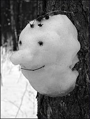 photo "smile"
