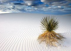 фото "Castle on the Sand"