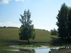 фото "Лето"