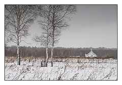 photo "***"