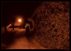 фото "Fears"