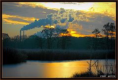 фото "Cold winterday"